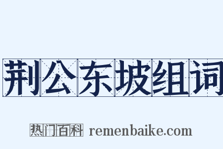 荆公东坡组词是什么意思的图片